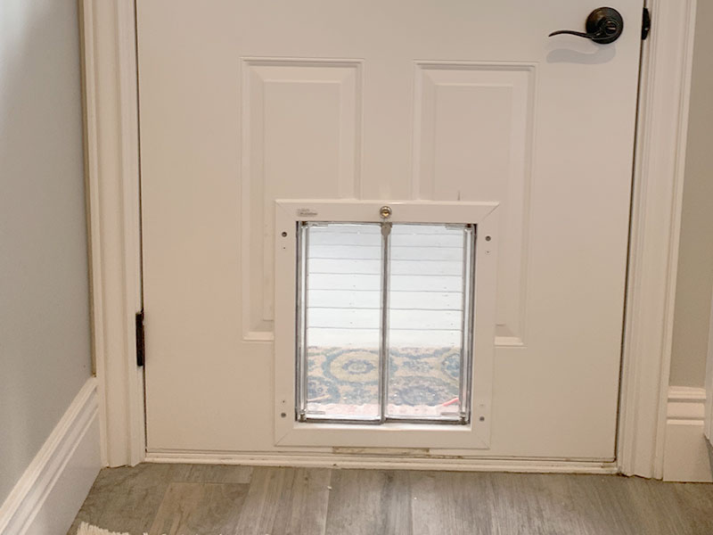 door with pet door